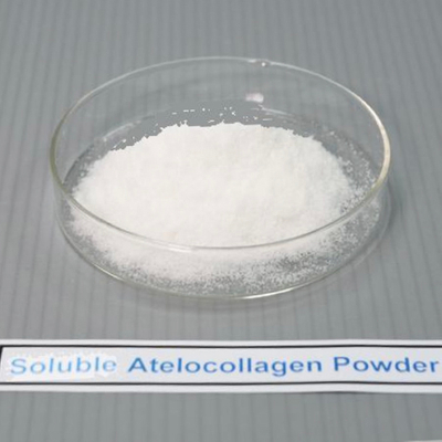 可溶性アテロコラーゲン粉末