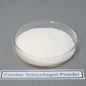 Fibrillar Telocollagen Powder未去端肽纤维性胶原蛋白粉.jpg