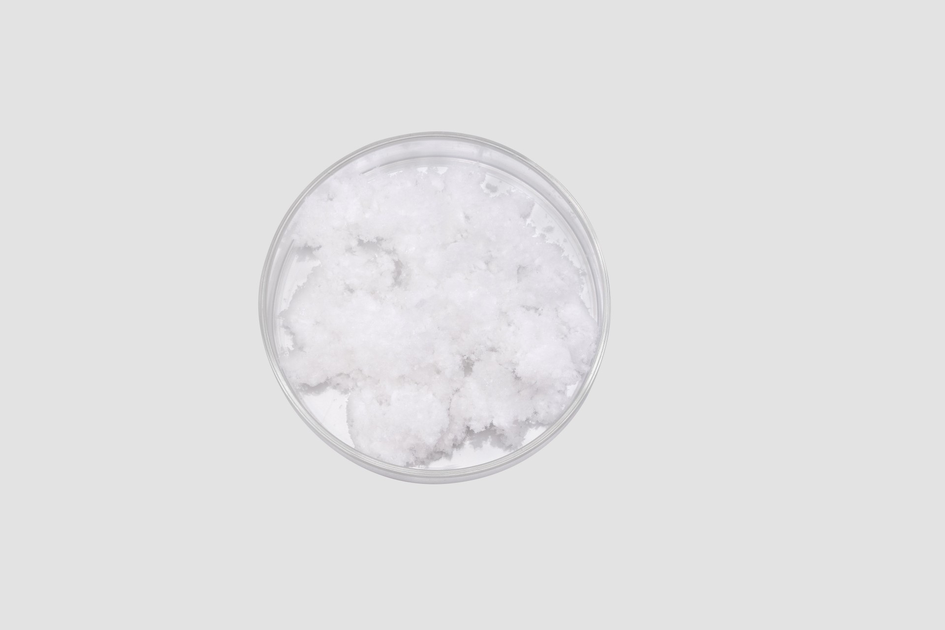 アテロコラーゲンパウダー